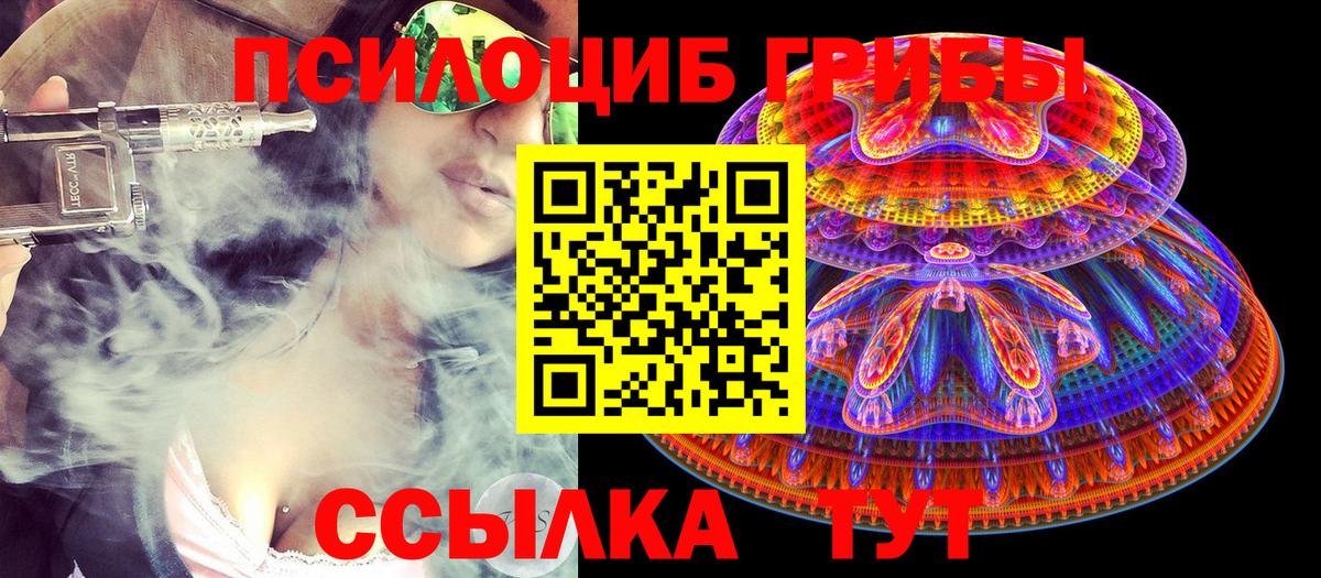 Псилоцибиновые грибы Cubensis  Псилоцибиновые грибы мухоморы  Вичуга  Вход с VPN 